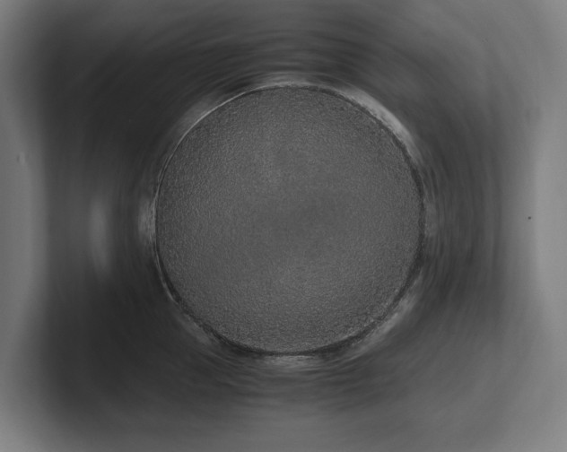 X0000102370953200808011510