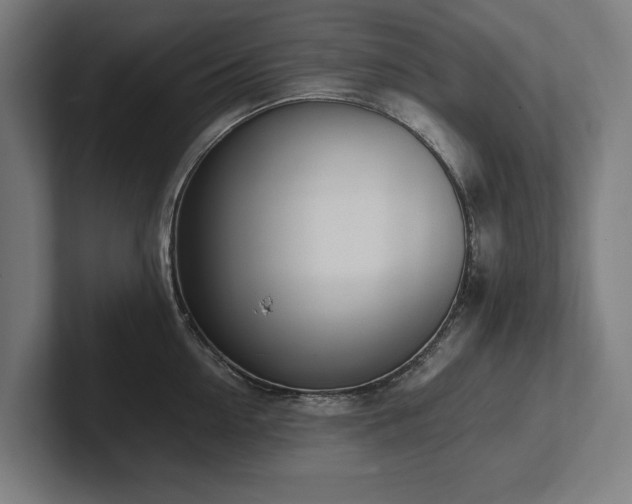 X0000102370954200808011510