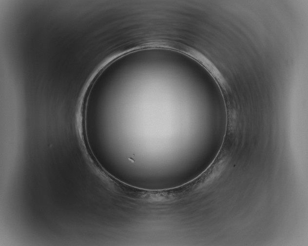 X0000102370955200808011510
