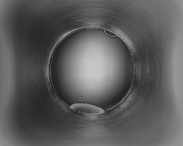 X0000102370956200808011510