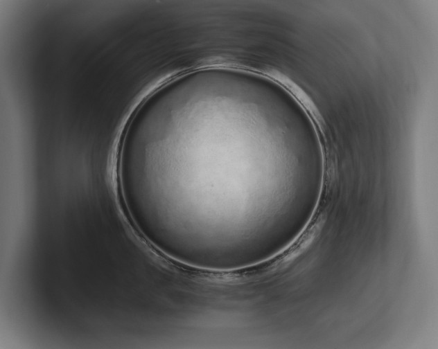 X0000102370957200808011510