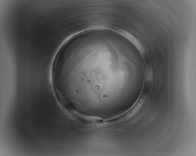 X0000102370958200808011510
