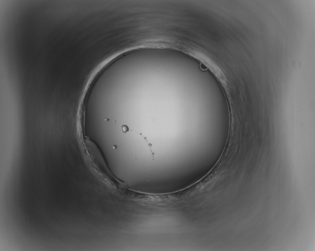 X0000102370960200808011510