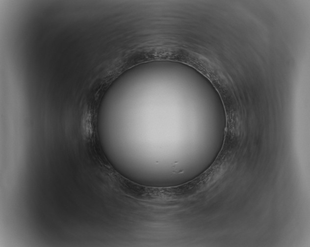 X0000102370962200808011510