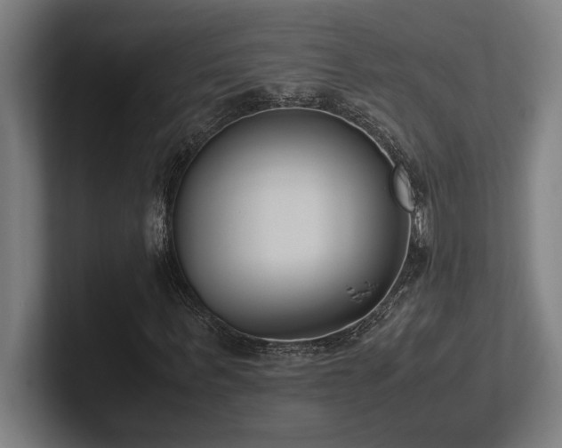 X0000102370963200808011510