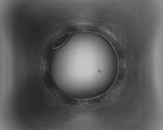 X0000102370965200808011510