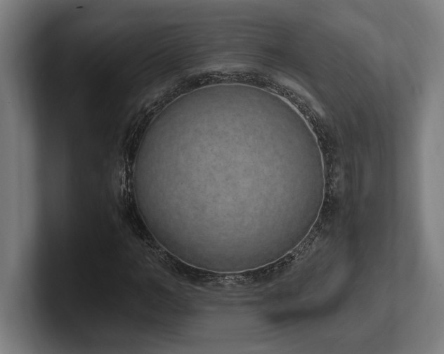 X0000102370966200808011510