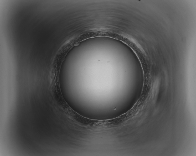 X0000102370967200808011510