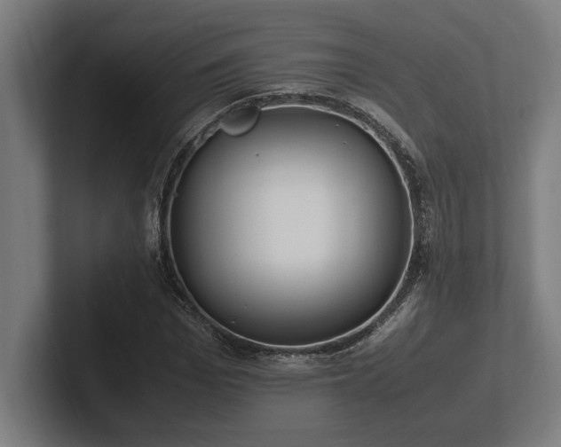 X0000102370969200808011510