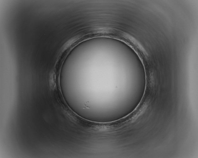 X0000102370970200808011510