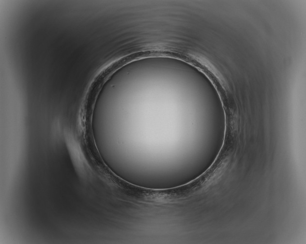 X0000102370971200808011510