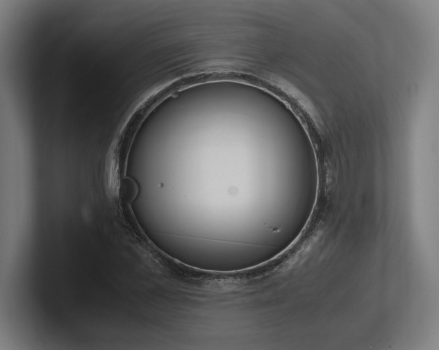 X0000102370973200808011510