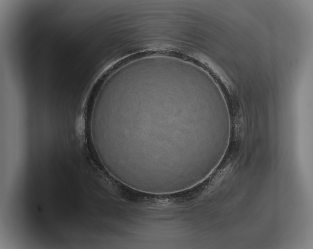 X0000102370975200808011510