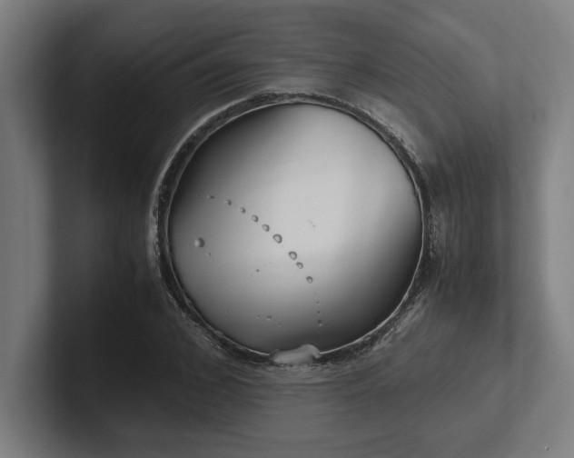 X0000102370976200808011510