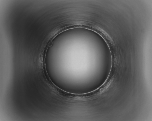 X0000102370977200808011510
