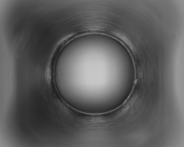 X0000102370979200808011510