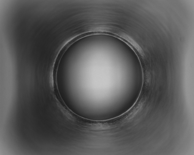 X0000102370980200808011510