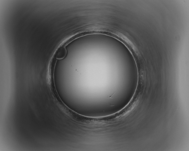 X0000102370981200808011510