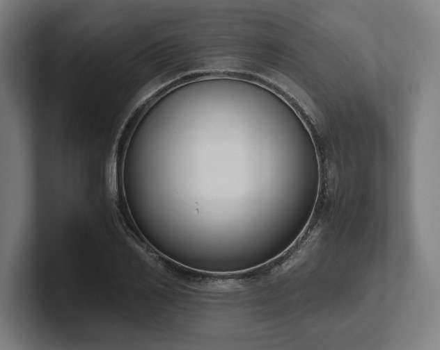 X0000102370982200808011510