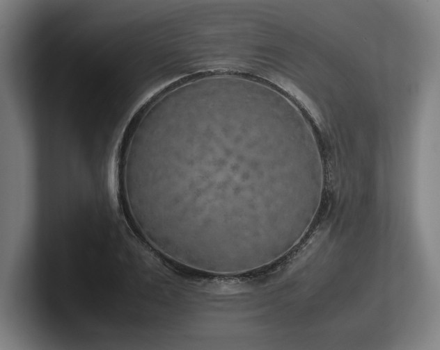 X0000102370983200808011510