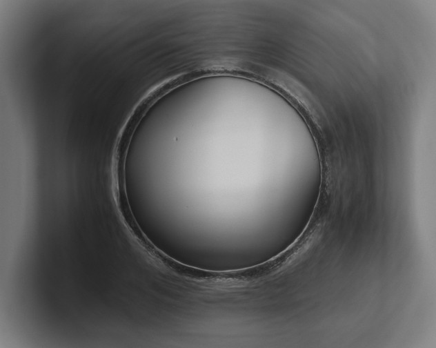 X0000102370984200808011510