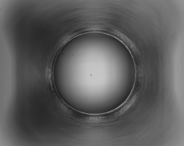 X0000102370985200808011509
