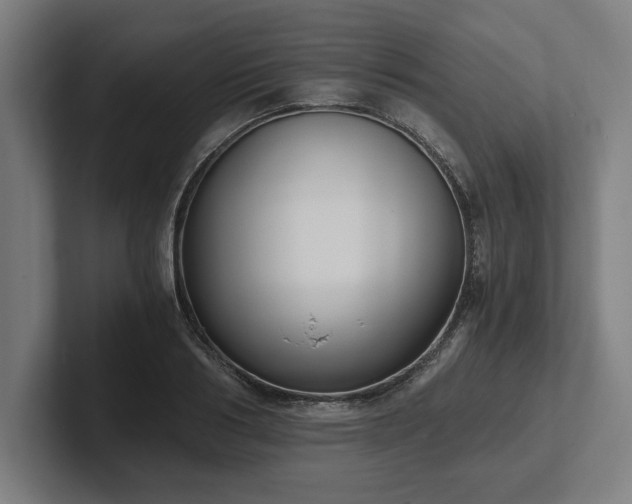 X0000102370986200808011509