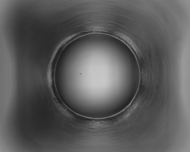 X0000102370987200808011509