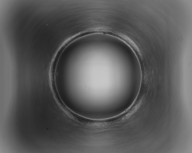 X0000102370989200808011509