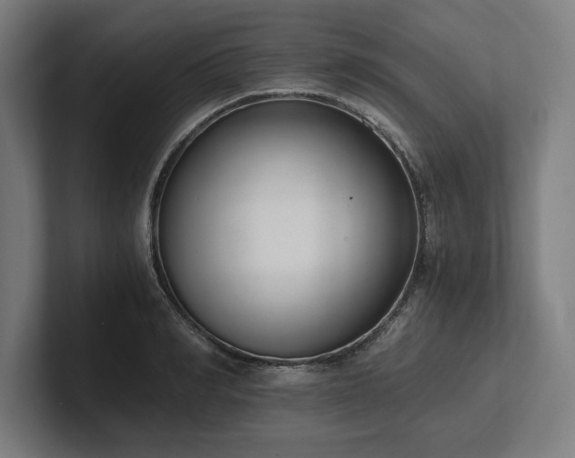 X0000102370990200808011509