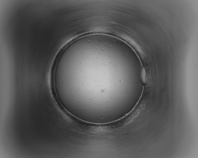 X0000102370991200808011509