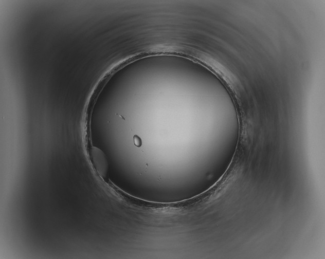 X0000102370992200808011509