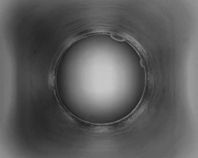 X0000102370993200808011509