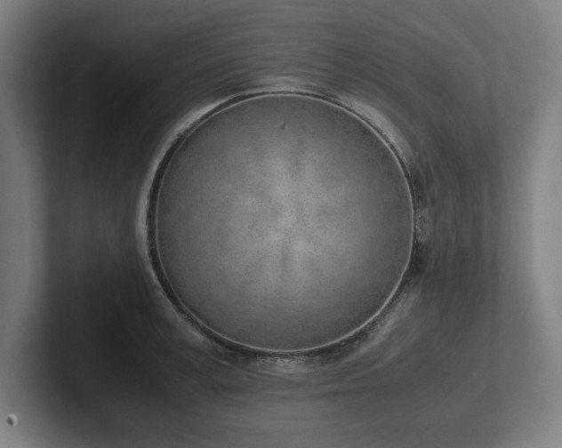 X0000102370995200808011509