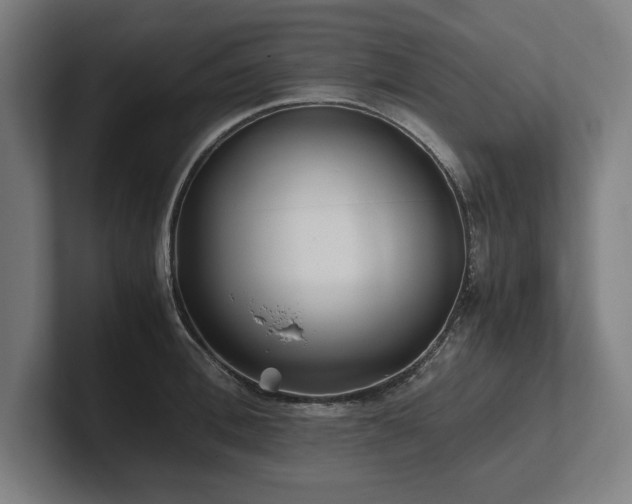 X0000102370996200808011509