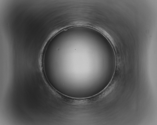 X0000102370997200808011509