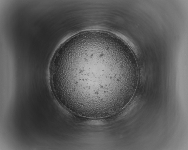 X0000102370998200808011509