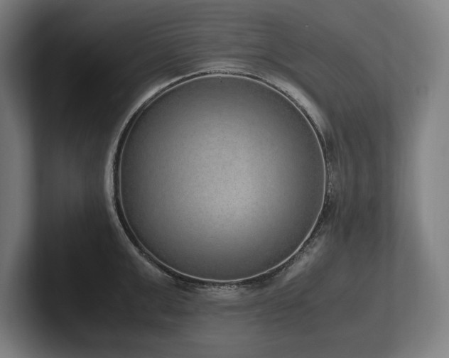 X0000102370999200808011509