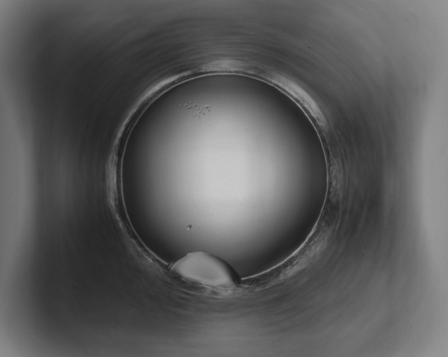 X0000102371000200808011509