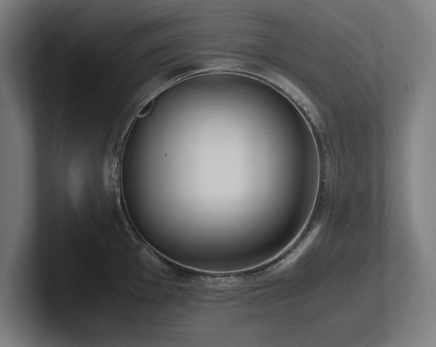 X0000102371001200808011509
