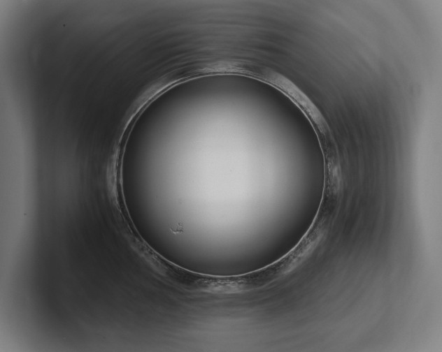 X0000102371002200808011509