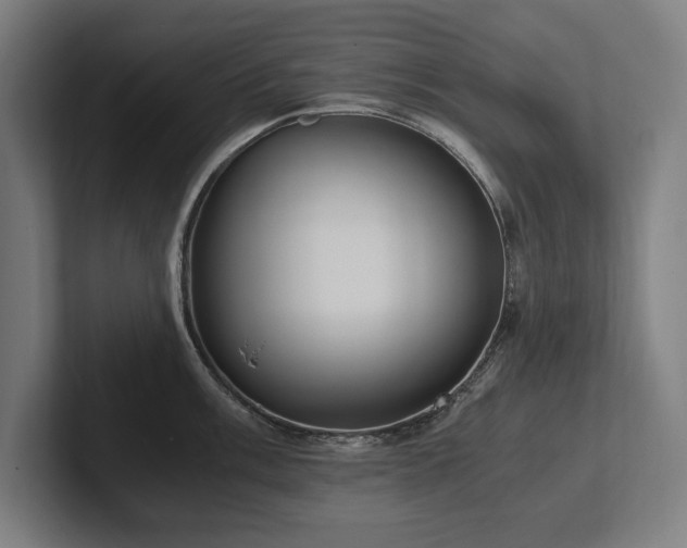 X0000102371003200808011509