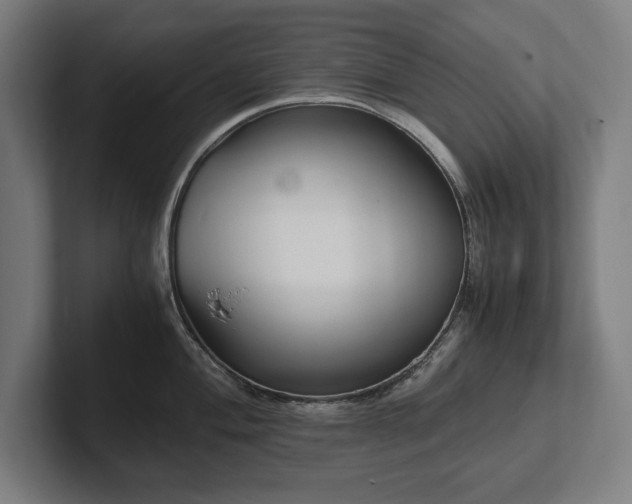 X0000102371004200808011509