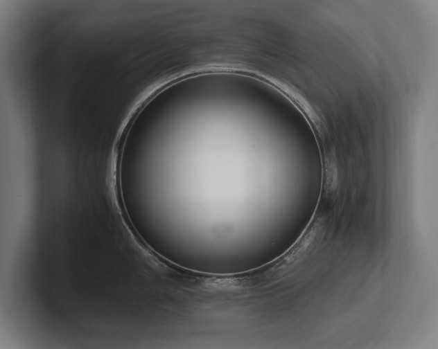 X0000102371006200808011509