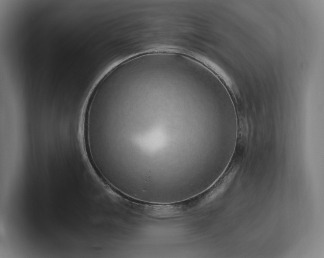 X0000102371007200808011509