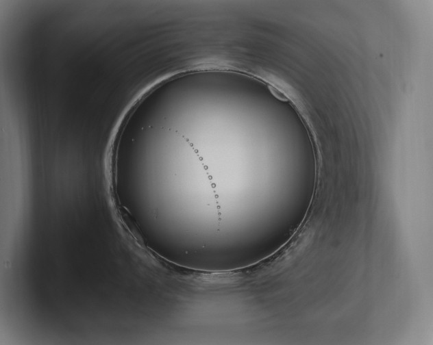 X0000102371008200808011509