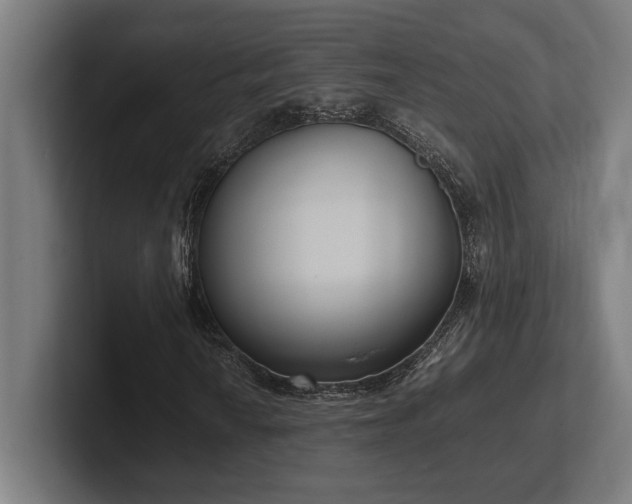 X0000102371010200808011509
