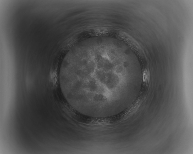 X0000102371011200808011509