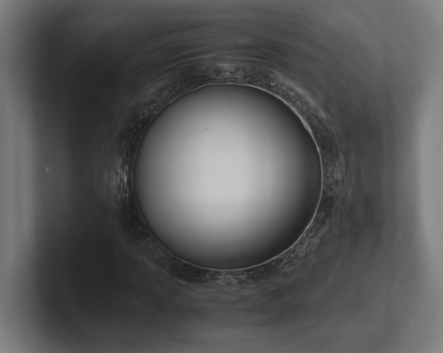 X0000102371013200808011509