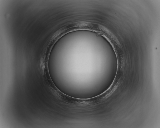 X0000102371017200808011509